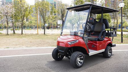 Carro de golf eléctrico para 2+2 pasajeros