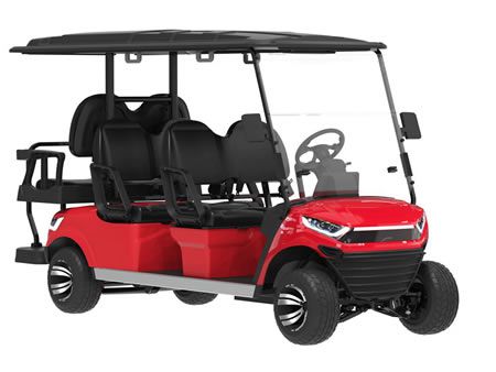 Carro de golf eléctrico para 4+2 pasajeros