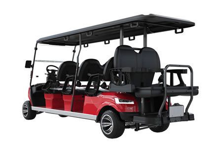 Carro de golf eléctrico para 6+2 pasajeros